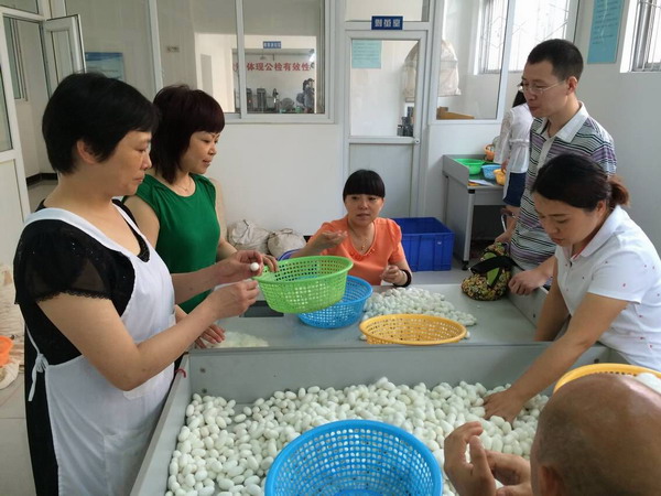 QQ图片20160701114034.jpg